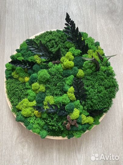 Панно из стабилизированного мха декоративное