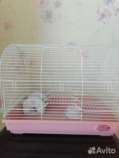 Клетки и стеллаж для животных