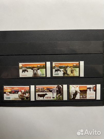 2007 г. Беларусь. Фауна