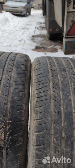 Firestone Touring FS100 205/55 R16