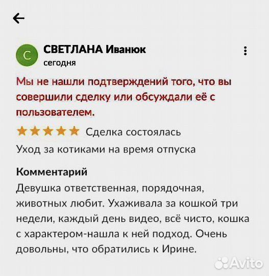 Уход за котиками на время отпуска