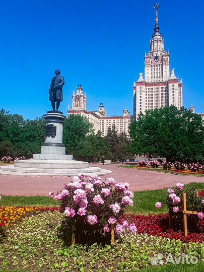 Курсы по химии в МГУ