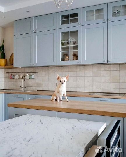 Кухня (цена за всю кухню) артикул: 447