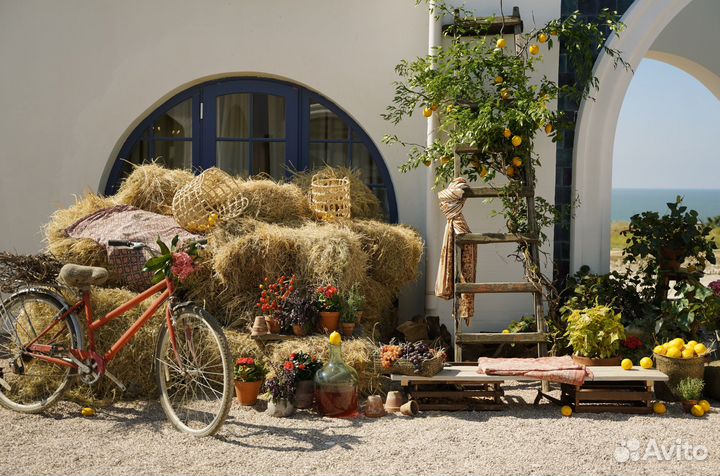 Оформление входных групп