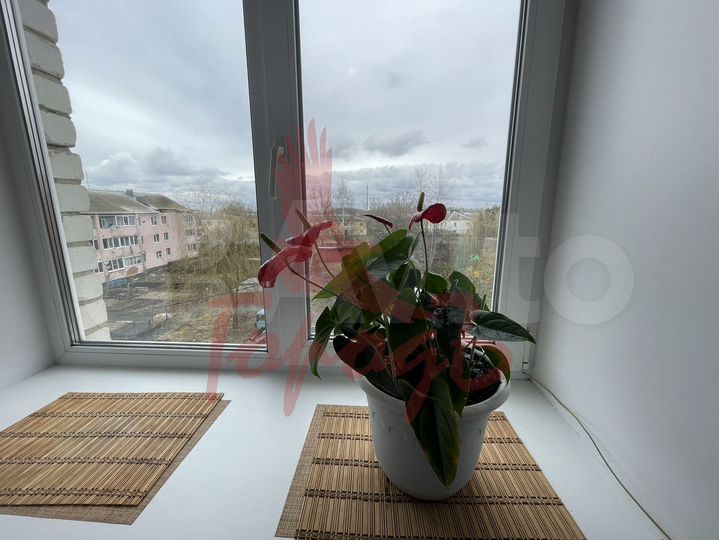 2-к. квартира, 51,9 м², 3/3 эт.