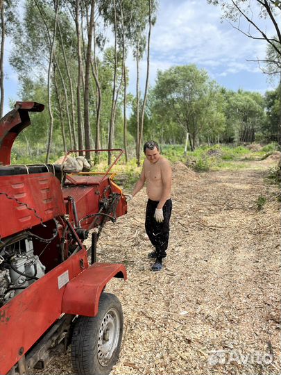 Сдам в аренду измельчитель веток