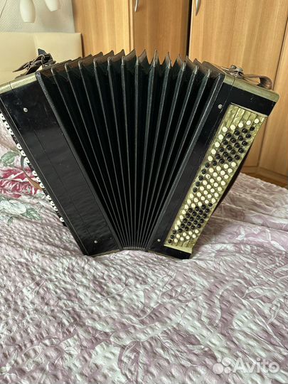 Баян тульский