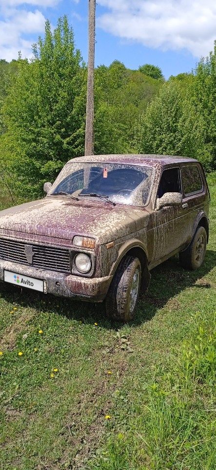 ВАЗ (LADA) 4x4 (Нива): фото владельца