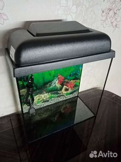 Аквариум