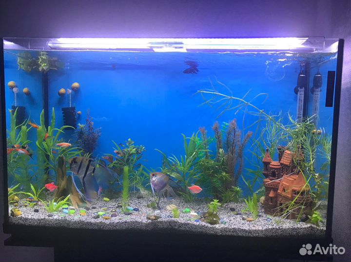 Аквариум