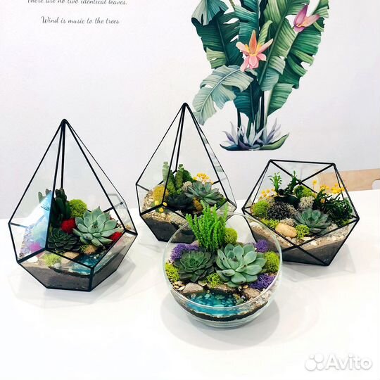 Флорариумы в наличии