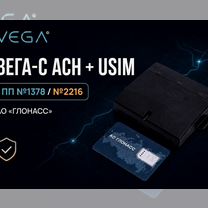 Асн, Кызыл