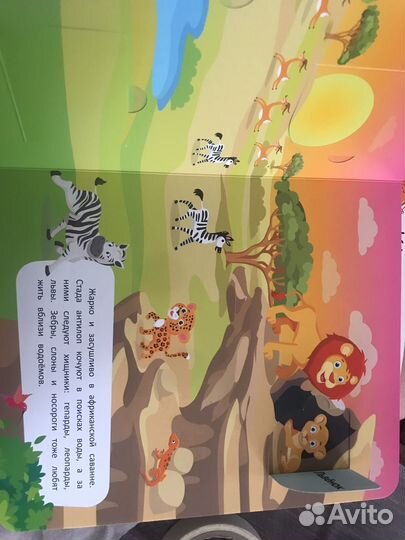 Животный мир