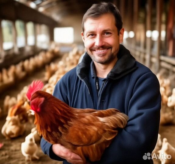 Работа с питанием жильем рядом Рабочий без опыта