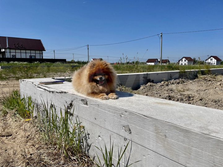 Участок 10 сот. (СНТ, ДНП)