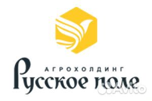 Помощник руководителя