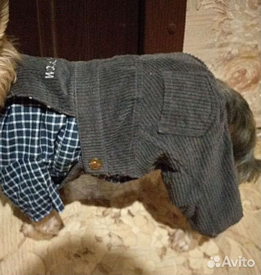 Одежда для собак М, Л, XL, XXL