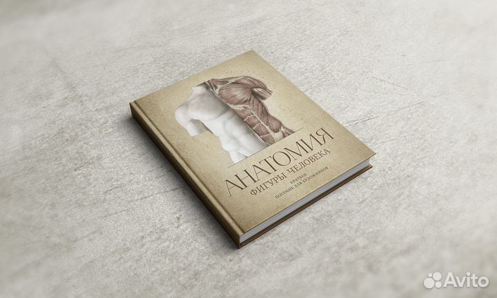 Анатомия фигуры человека, В.А. Могилевцев