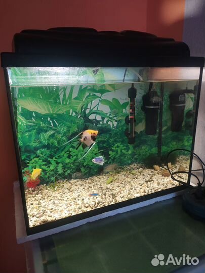 Аквариум