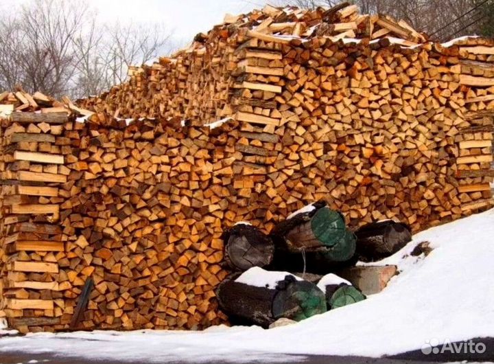 Дрова ольха осина