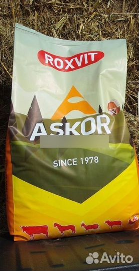 Премикс для крс аскор