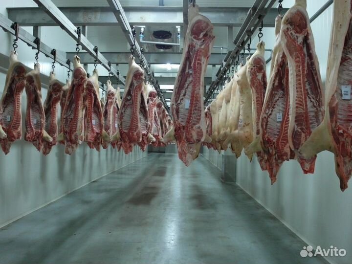 Холодильная камера для мясокомбината