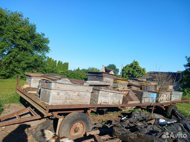 Пчелоприцеп легковой