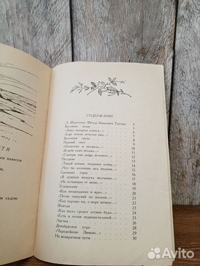 Ф. И. Тютчев - Листья