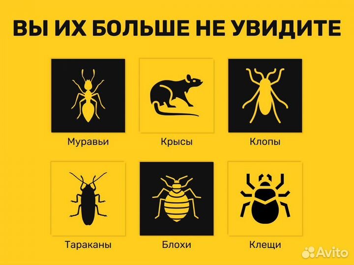 Дезинфекция.Травить клопов и тараканов.Уничтожение