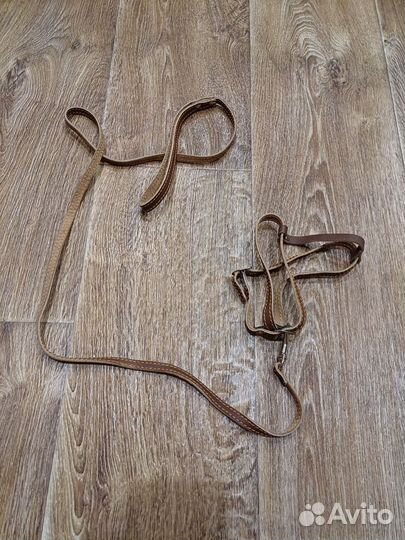 Шлейка и ошейник для маленьких собак и кошек