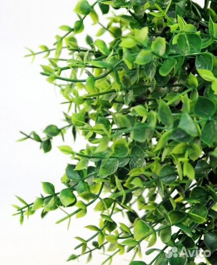 Набор вставка 