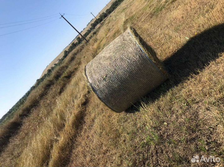 Село в луронах