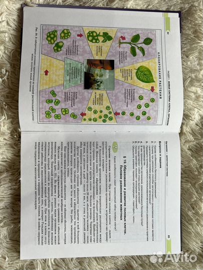 Учебник по биологии 9 класс