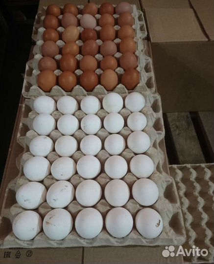 Ячейки для яиц по весу