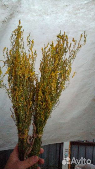 Лекарственные травы(для бани)