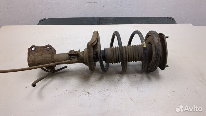 Амортизатор подвески Suzuki Liana, 2006