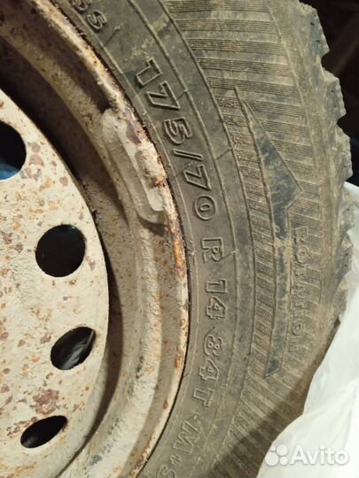 Nordman 5 175/70 R14