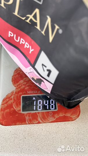 Корм для собак Proplan