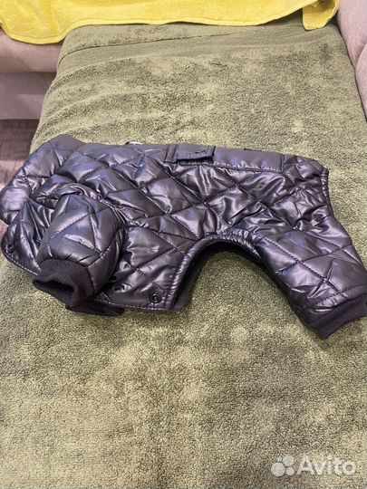 Одежда доя собачки