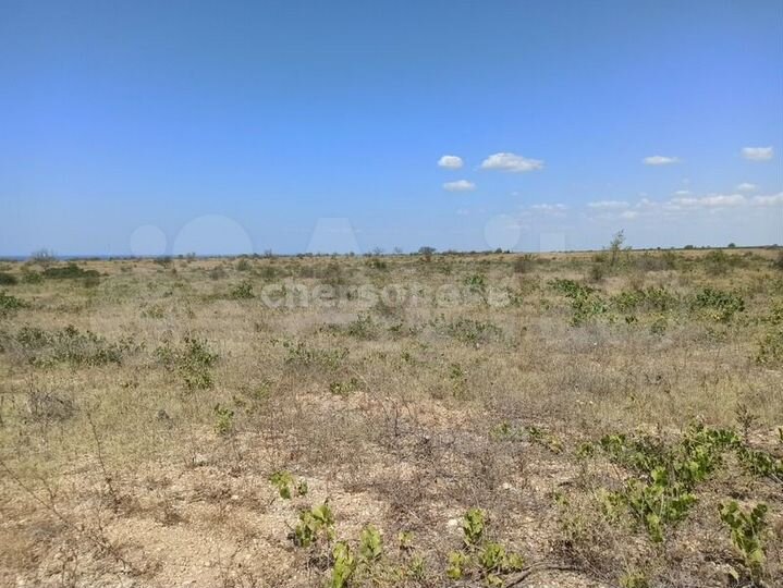 Участок 1,3 га (СНТ, ДНП)