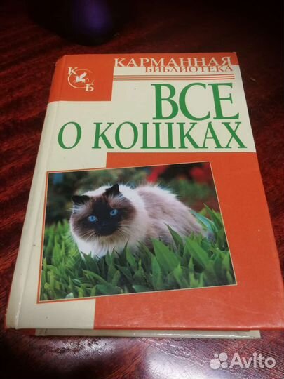 Книга о кошках в дар