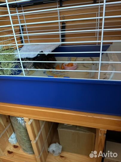 Клетка для грызунов ferplast