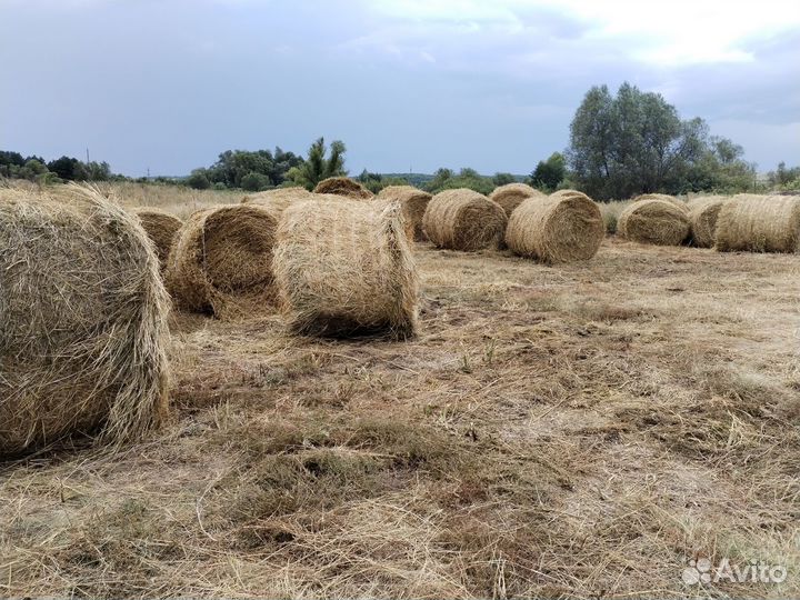 Сено и солома в рулонах