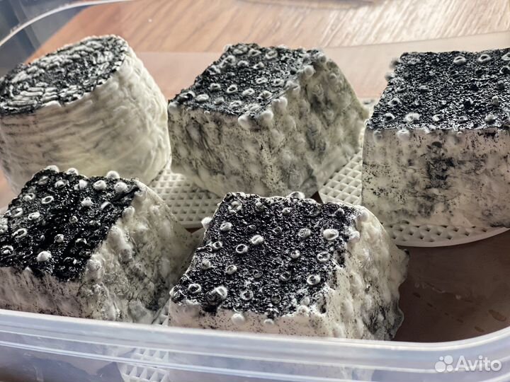 Козье молоко