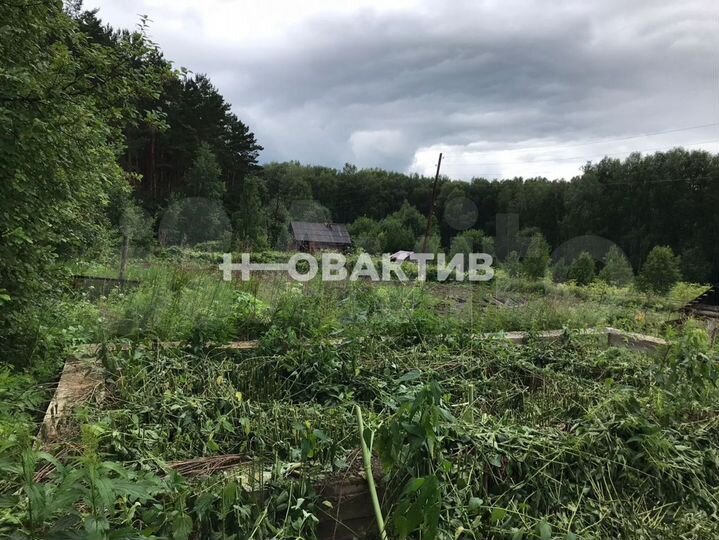 Участок 8 сот. (СНТ, ДНП)