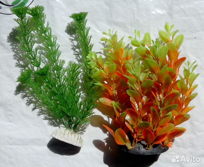 Все для аквариума