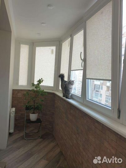 Рулонные шторы