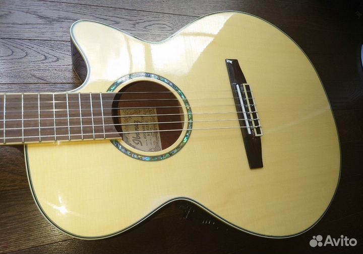 Электроакустическая гитара Ibanez AEG10NE NT