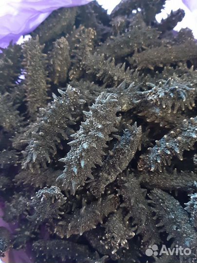 Сушеный (сухой) трепанг и варено-мороженый