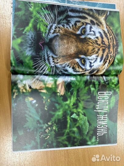 Книги энциклопедия